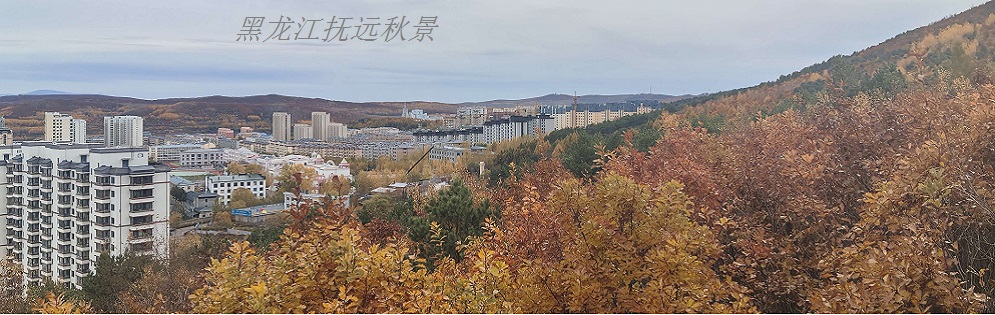 抚远秋天